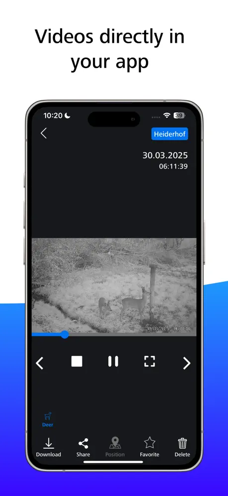 App Store screenshot: in-app video player showing two deer at night, with download, share and favourite actions. Headline on the image (English): “Videos directly in your app”.